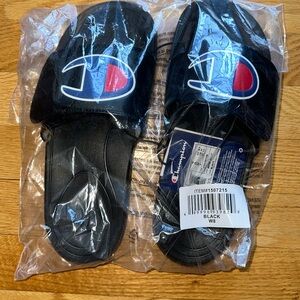 Brand new champion slides